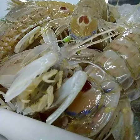 Teruel Vinarós