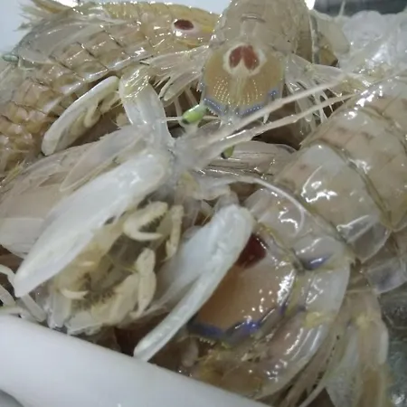 Teruel 호텔